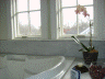 master bath 01/02/08